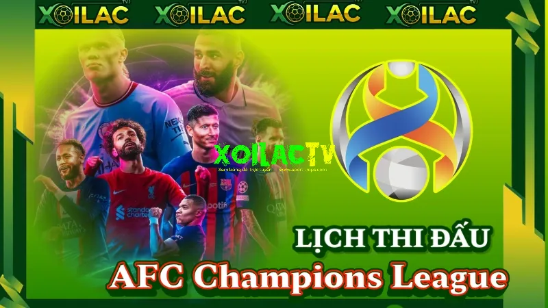 Lịch thi đấu AFC Champions League – Cập nhật mới nhất trên Xoilac TV